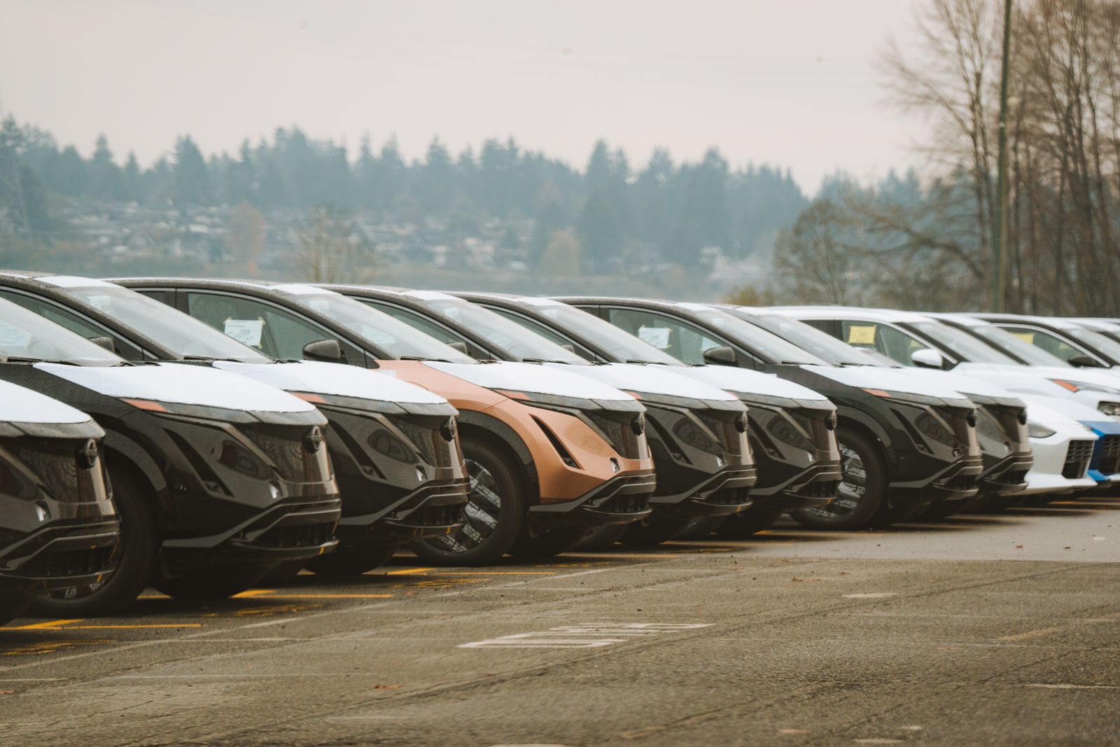 Fila de autos eléctricos nuevos en venta en una concesionaria, con etiquetas de precio